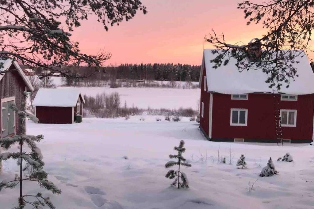 Cozy Home With Lake View-Free Wifi - Free Sauna Överkalix Eksteriør bilde